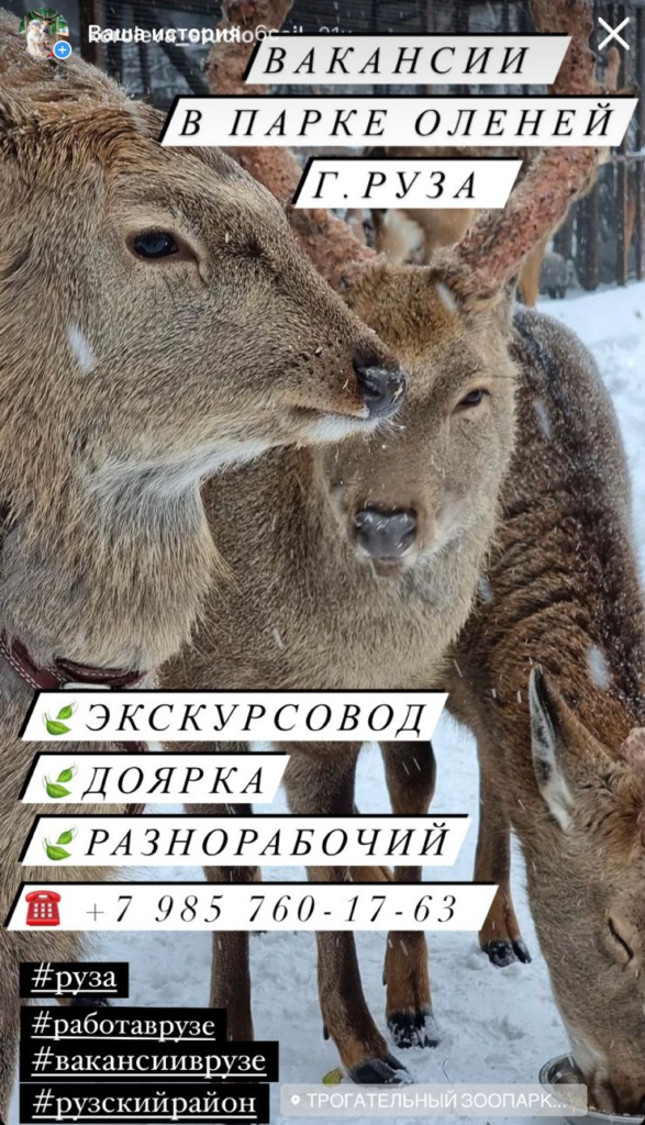 Zoooleni | Оленья ферма в Рузе.